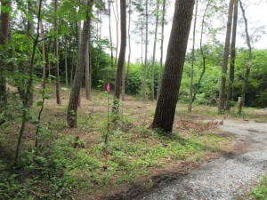 諏訪郡原村、土地の画像です