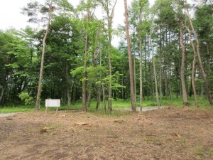 諏訪郡原村、土地の画像です