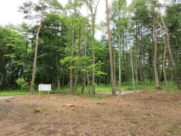 諏訪郡原村、土地の画像です