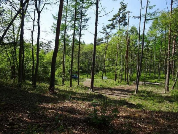 諏訪郡原村、土地の画像です