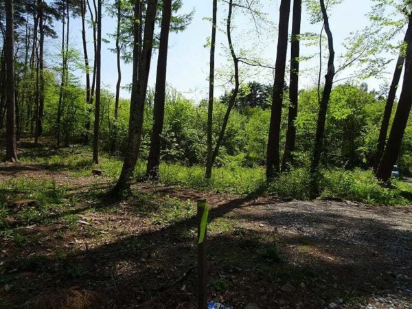 諏訪郡原村、土地の画像です