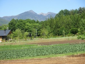 茅野市豊平、土地の画像です