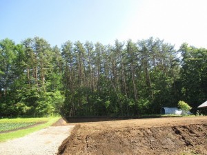 茅野市豊平、土地の画像です
