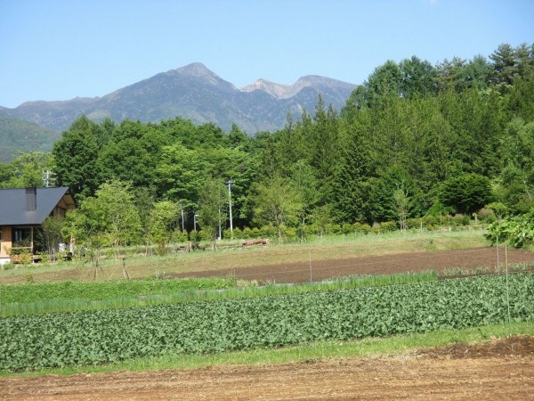 茅野市豊平、土地の画像です