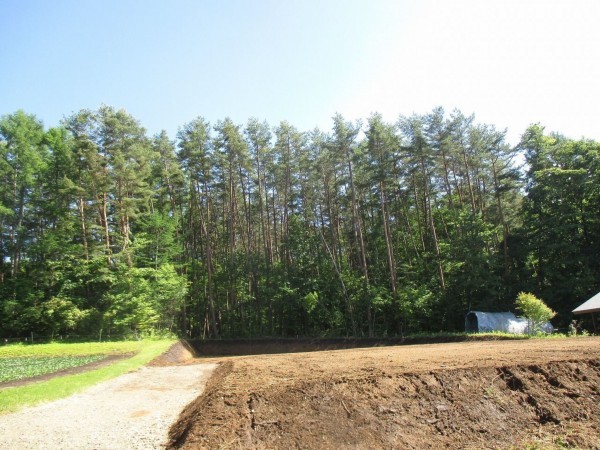 茅野市豊平、土地の画像です
