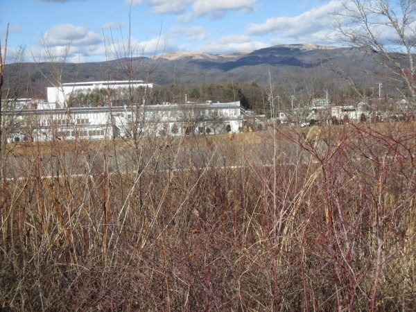 茅野市豊平、土地の画像です