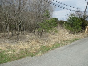 諏訪郡富士見町富士見、土地の画像です