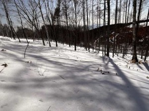 諏訪市、土地の画像です