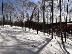 諏訪市、土地の画像です