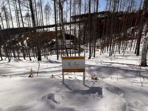 諏訪市、土地の画像です