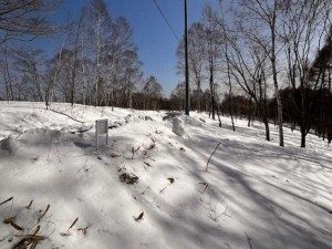 諏訪市、土地の画像です