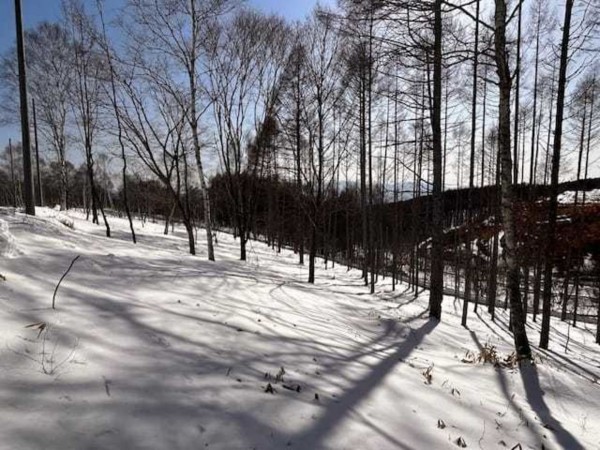 諏訪市、土地の画像です