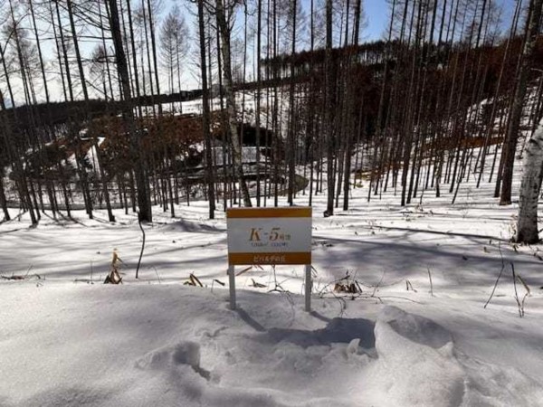 諏訪市、土地の画像です