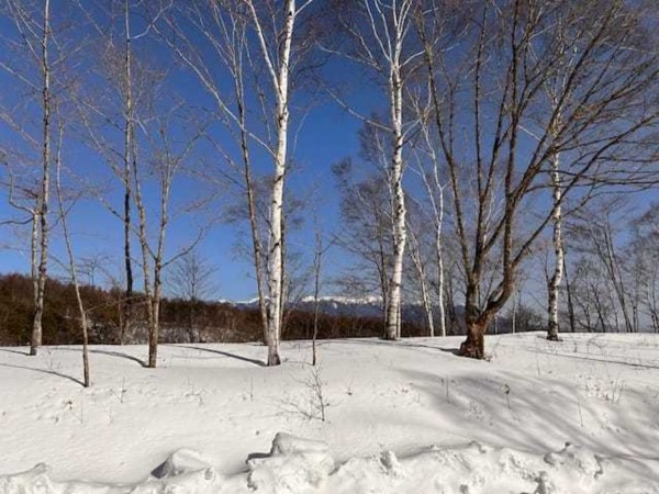 諏訪市、土地の画像です