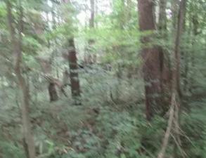 諏訪郡富士見町境、土地の画像です