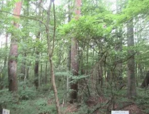 諏訪郡富士見町境、土地の画像です