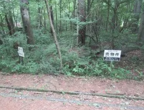 諏訪郡富士見町境、土地の画像です