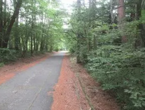 諏訪郡富士見町境、土地の画像です