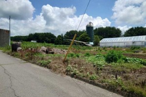 諏訪郡富士見町富士見、土地の画像です