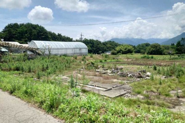 諏訪郡富士見町富士見、土地の画像です