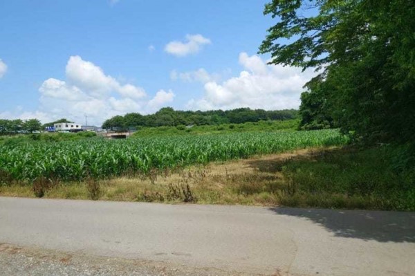諏訪郡富士見町富士見、土地の画像です