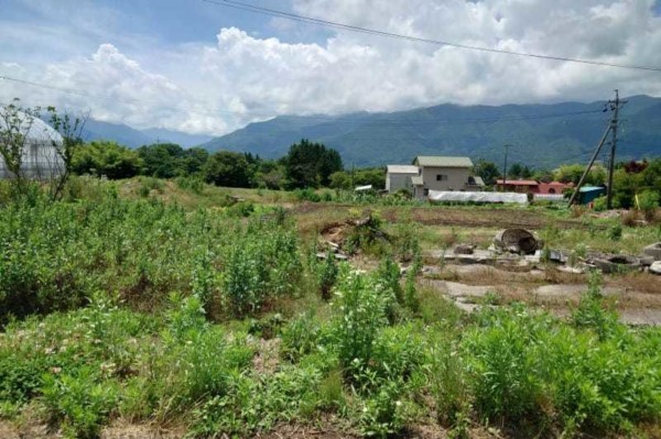 諏訪郡富士見町富士見、土地の画像です