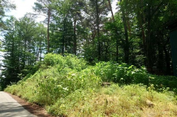 諏訪郡富士見町富士見、土地の画像です