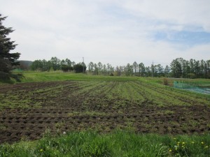 茅野市北山、土地の画像です