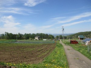 茅野市北山、土地の画像です