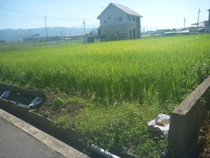 諏訪市、土地の画像です