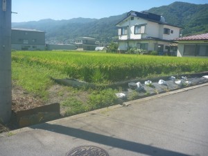 諏訪市、土地の画像です