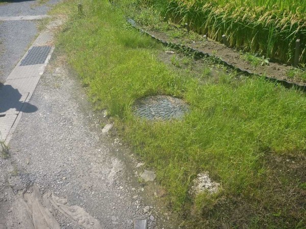 諏訪市、土地の画像です