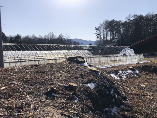 諏訪郡原村、中古一戸建ての画像です