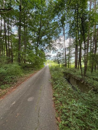 諏訪郡富士見町富士見、土地の画像です