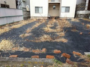 諏訪市湯の脇、土地の画像です