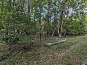 諏訪郡原村、土地の画像です