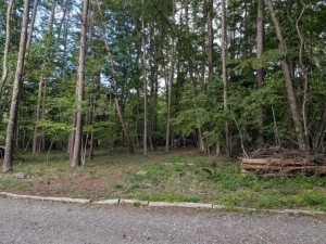 諏訪郡原村、土地の画像です