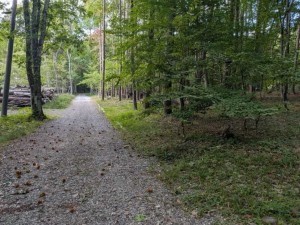 諏訪郡原村、土地の画像です
