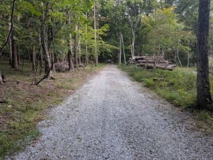諏訪郡原村、土地の画像です