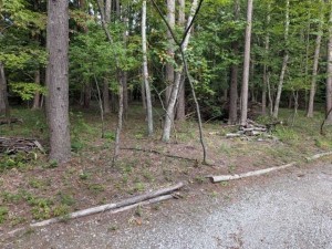 諏訪郡原村、土地の画像です