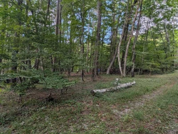 諏訪郡原村、土地の画像です