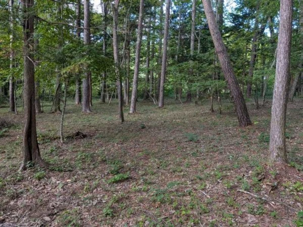 諏訪郡原村、土地の画像です