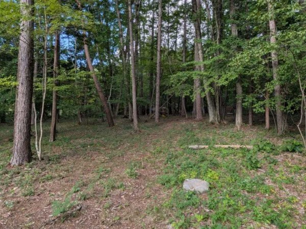 諏訪郡原村、土地の画像です