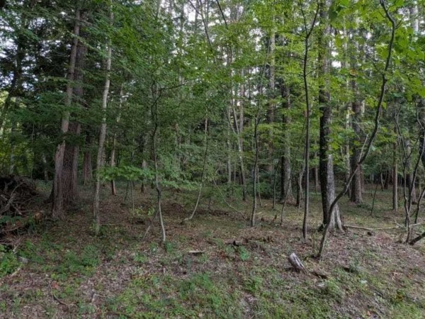 諏訪郡原村、土地の画像です