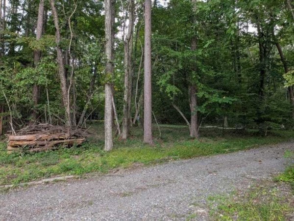 諏訪郡原村、土地の画像です