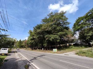 諏訪郡原村上里、土地の画像です