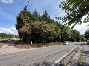 諏訪郡原村上里、土地の画像です