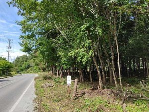 諏訪郡原村上里、土地の画像です