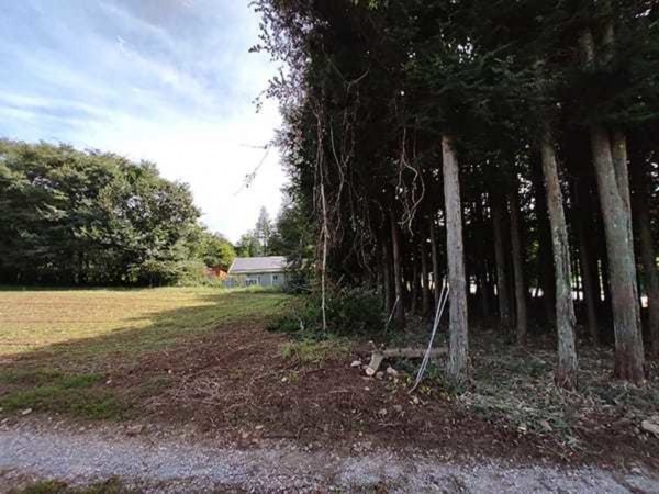 諏訪郡原村上里、土地の画像です