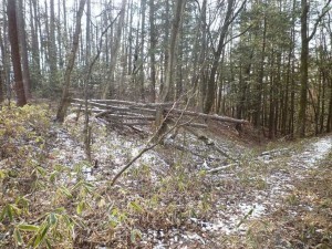 茅野市北山、土地の画像です